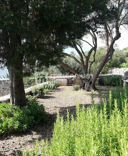 Otok Unije, ekskluzivna kamena kuća, 1. red do mora