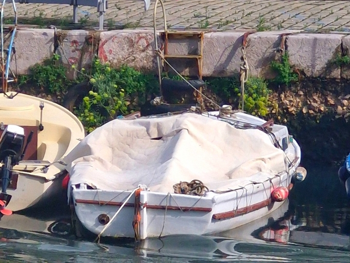 Brodica pasara s kabinom, Rijeka