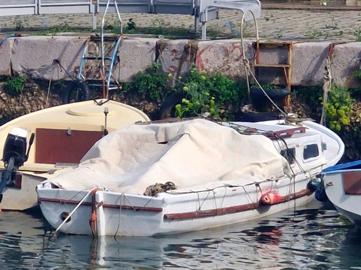 Brodica pasara s kabinom, Rijeka