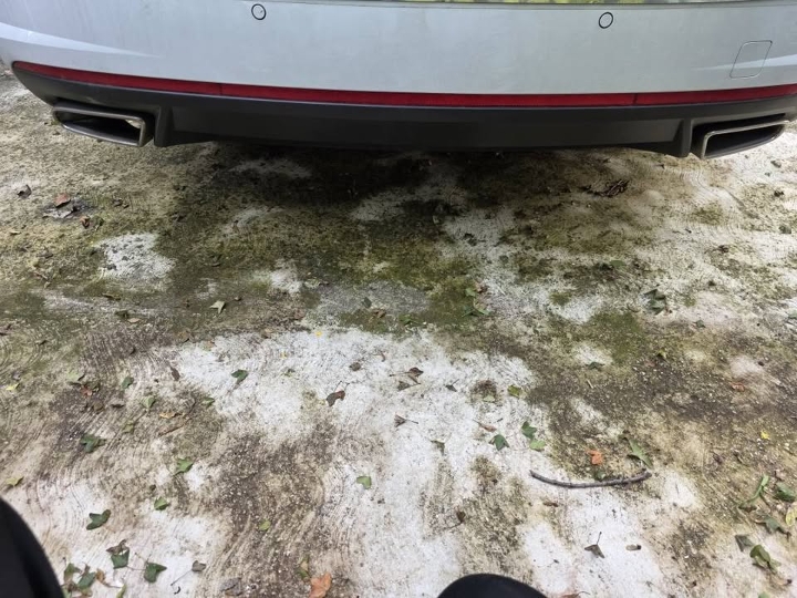 Škodu Octavia karavan