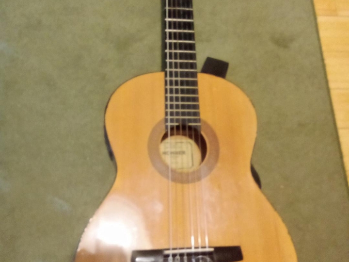 Klasična gitara, ozvučena Hohner