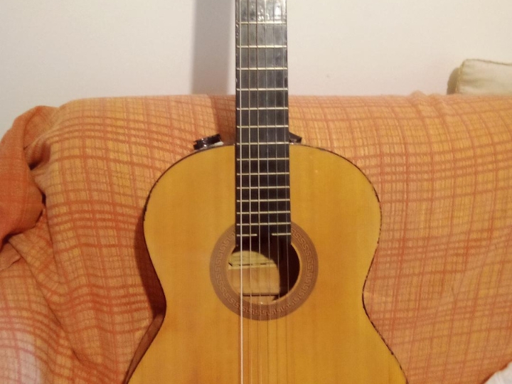 Klasična gitara, ozvučena Hohner