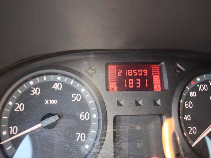Renault Clio, registriran godinu dana