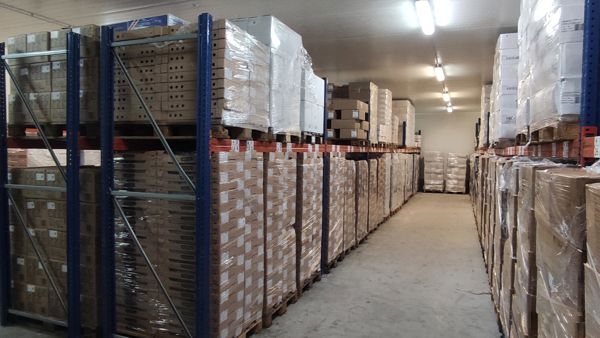 Najam paletnih mjesta za smrznutu robu – Metković, Dubrovnik, Makarska