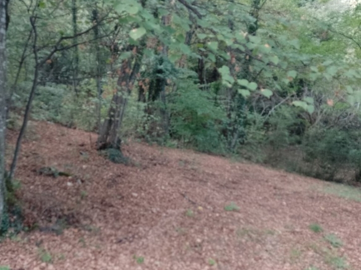 Rukavac, 1.777 m2 zemljište - samo kod nas!
