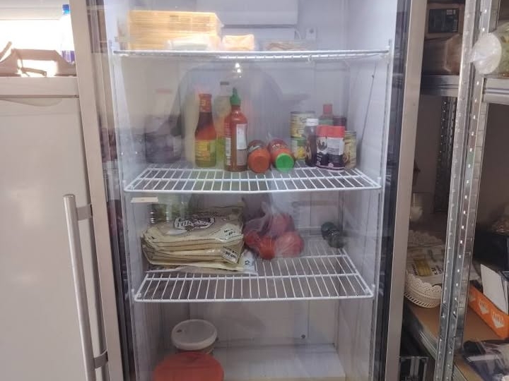 Profesionalni rashladni hladnjak