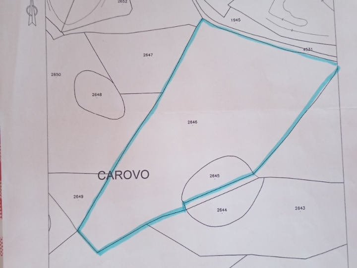 Drenova