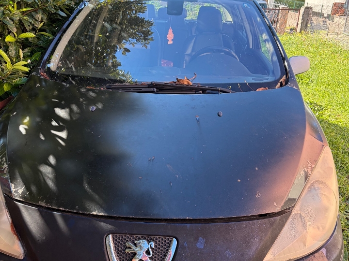 Peugeot 307, 2.0 diesel