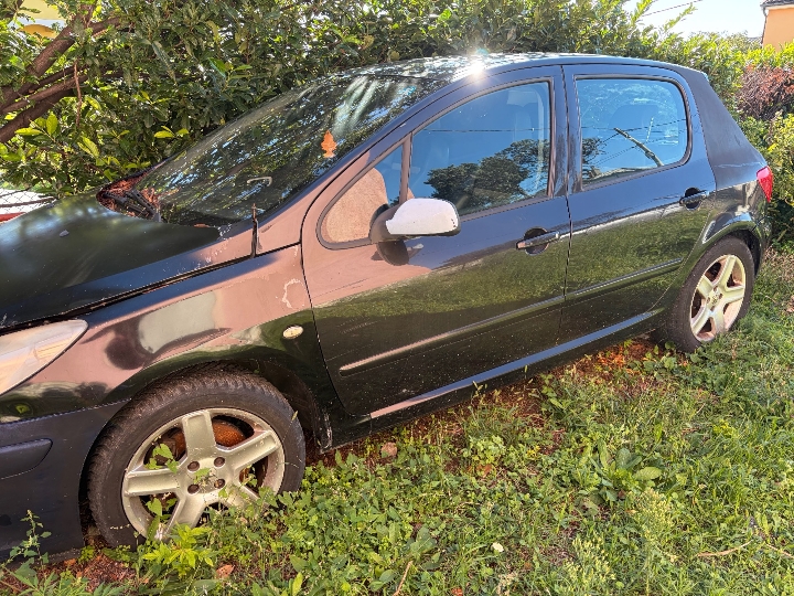 Peugeot 307, 2.0 diesel