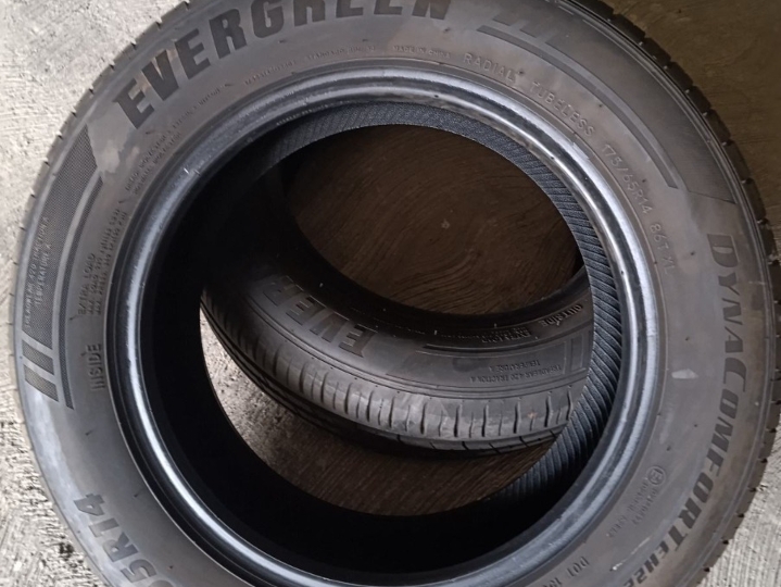 Gume Evergreen 175/65/14 ljetne, 2 komada