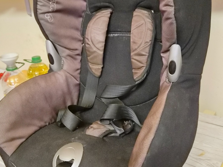 Poklanja se auto sjedalica