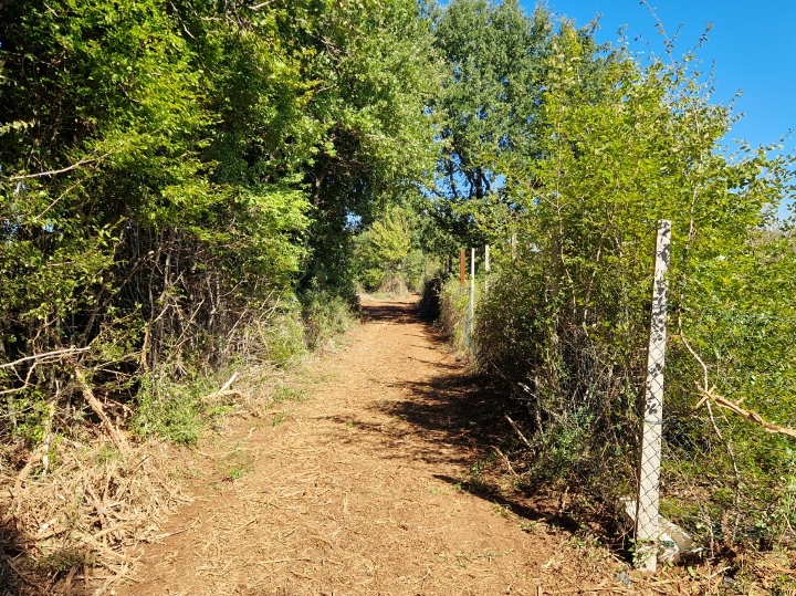 Oranica u Marčani s maslinikom 6847m2