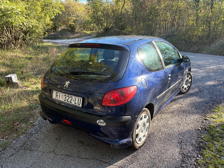 Peugeot 206, 1.1