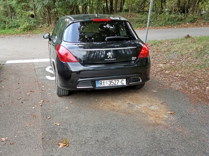 Peugeot 308 Sportium, 1.6 ehdi, 2012. god., moguća zamjena