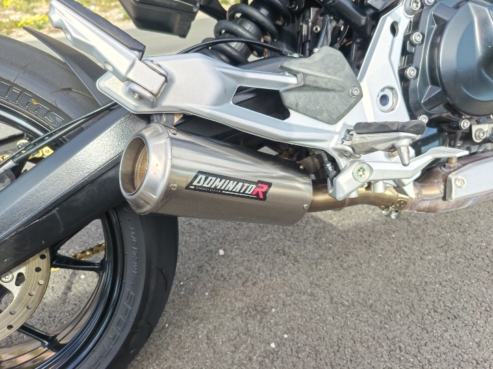 BMW F900R