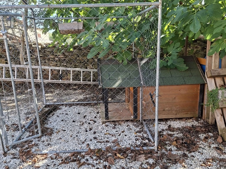 Pocinčani boks i kućica za psa s nadstrešnicom