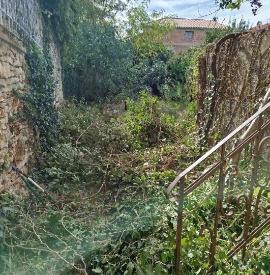 Uređenje i održavanje okućnica