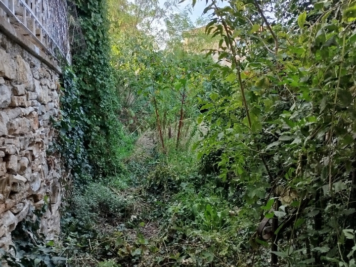 Uređenje i održavanje okućnica