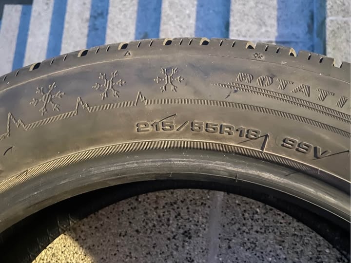 Zimske gume Dunlop Winter Sport 5, 215/55 R18