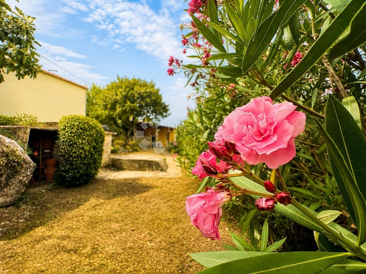 Omišalj – rijetka prilika, kuća na parceli od 850 m²