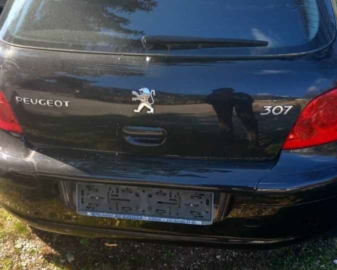 Peugeot 307