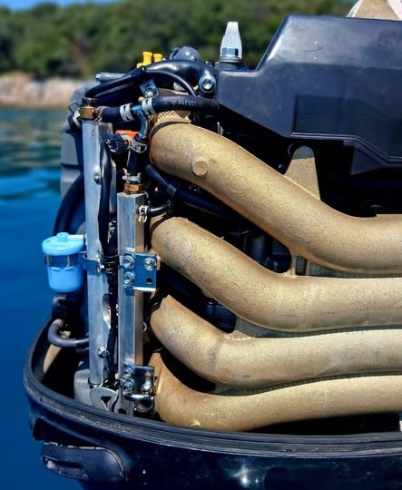 Gaia Open Fisher, Suzuki 115