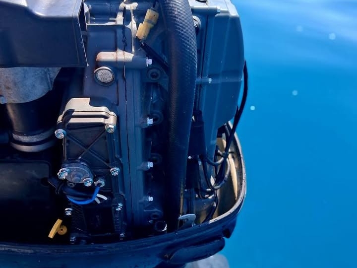 Gaia Open Fisher, Suzuki 115
