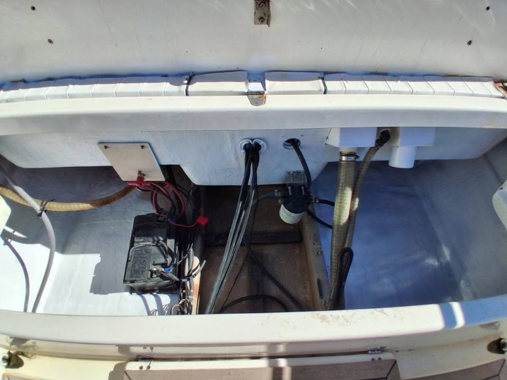 Gaia Open Fisher, Suzuki 115