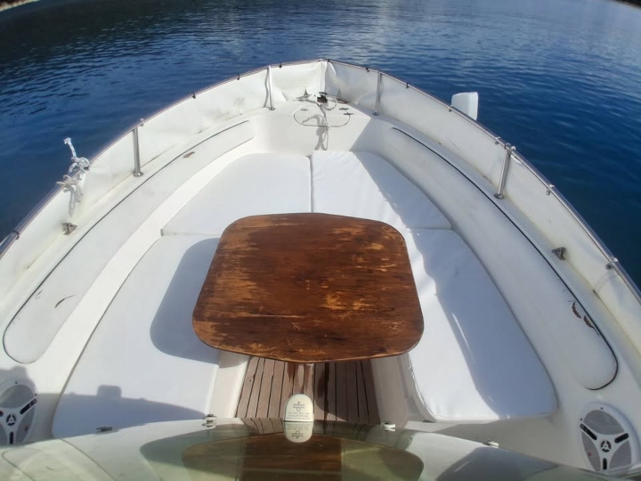 Gaia Open Fisher, Suzuki 115