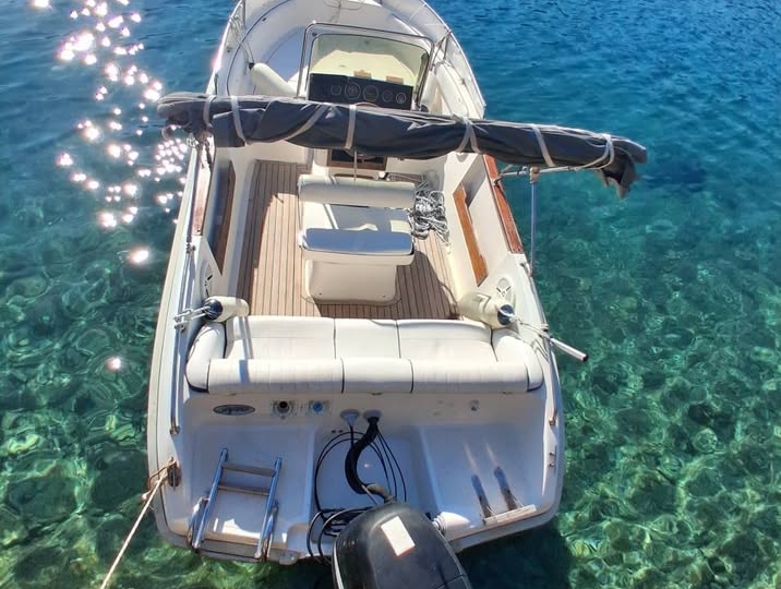 Gaia Open Fisher, Suzuki 115