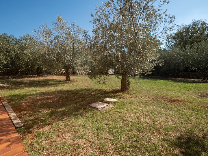 Istra, Galižana - malo istarsko imanje za veliki život