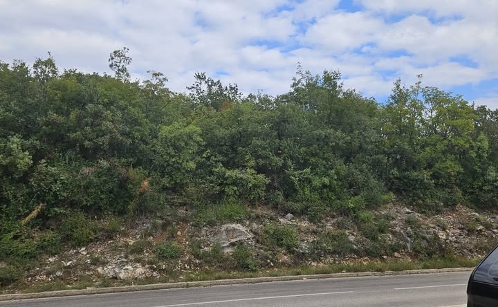 Raša, Staniševi, zemljište 20.000 m2