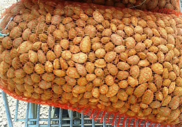 Domaći bademi