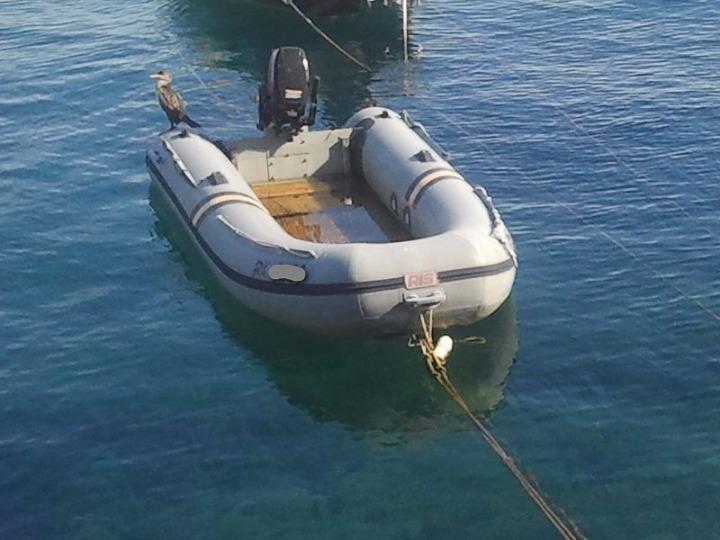 Gumenjak Maestral 25 + Tomos 4