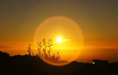 Globalno zagrijavanje