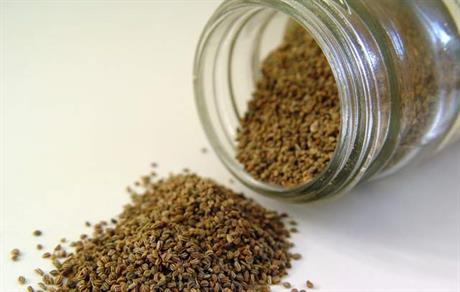 Kako pravilno osušiti ljekovito bilje