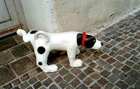 Inkontinencija urina