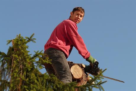 Tko ima pravo saditi i piliti stabla zasađena oko zgrade?