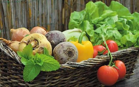 Jedi zdravo, živi dugo