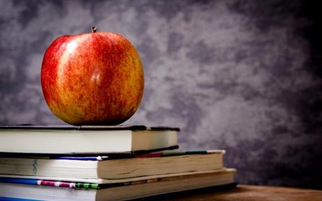 Radni odnos u osnovnoj školi 