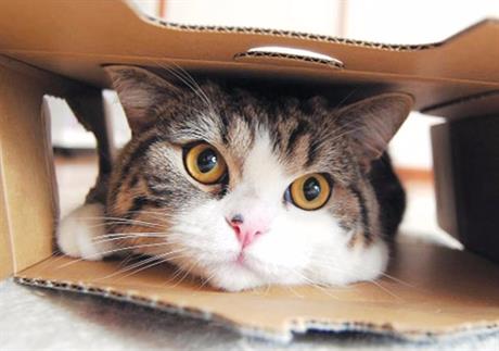 Komplikacije nakon sterilizacije