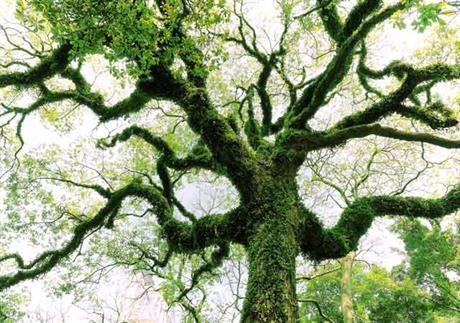 Na tragu vječnog života