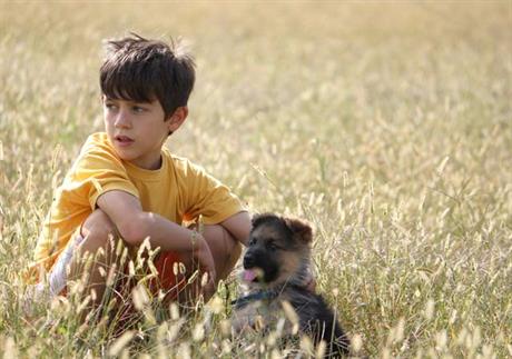 Pas nije dječja igračka