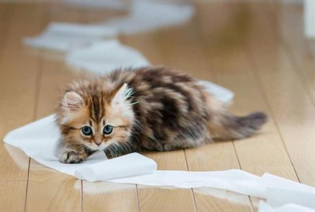 Problemi sa mokrenjem  – povratak u mjehur