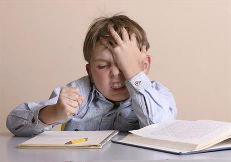 Ministar je plagijator? 