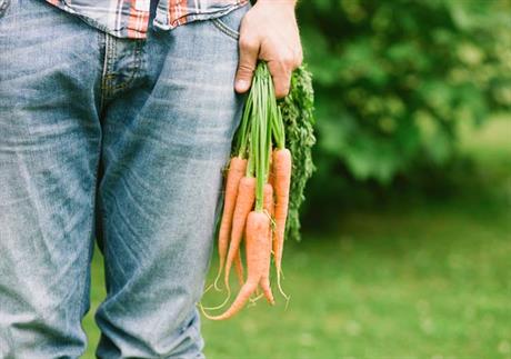 Korijen mrkve za brončani ten