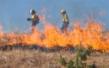 U miru  se mlatimo – hoćemo probleme  