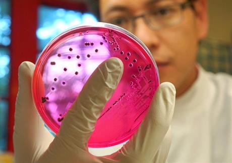 Jesu li mikrobi uzročnici bolesti?