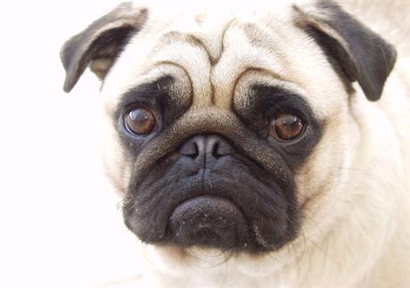 Problemi s rožnicom oka