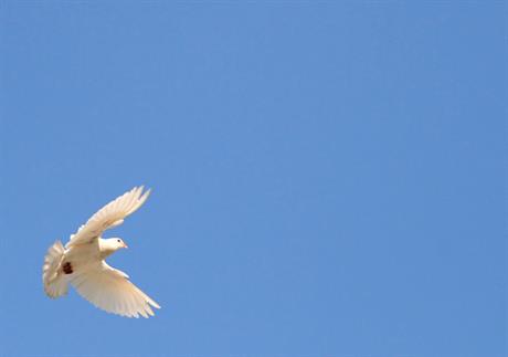 Komemoracija za osuđenog